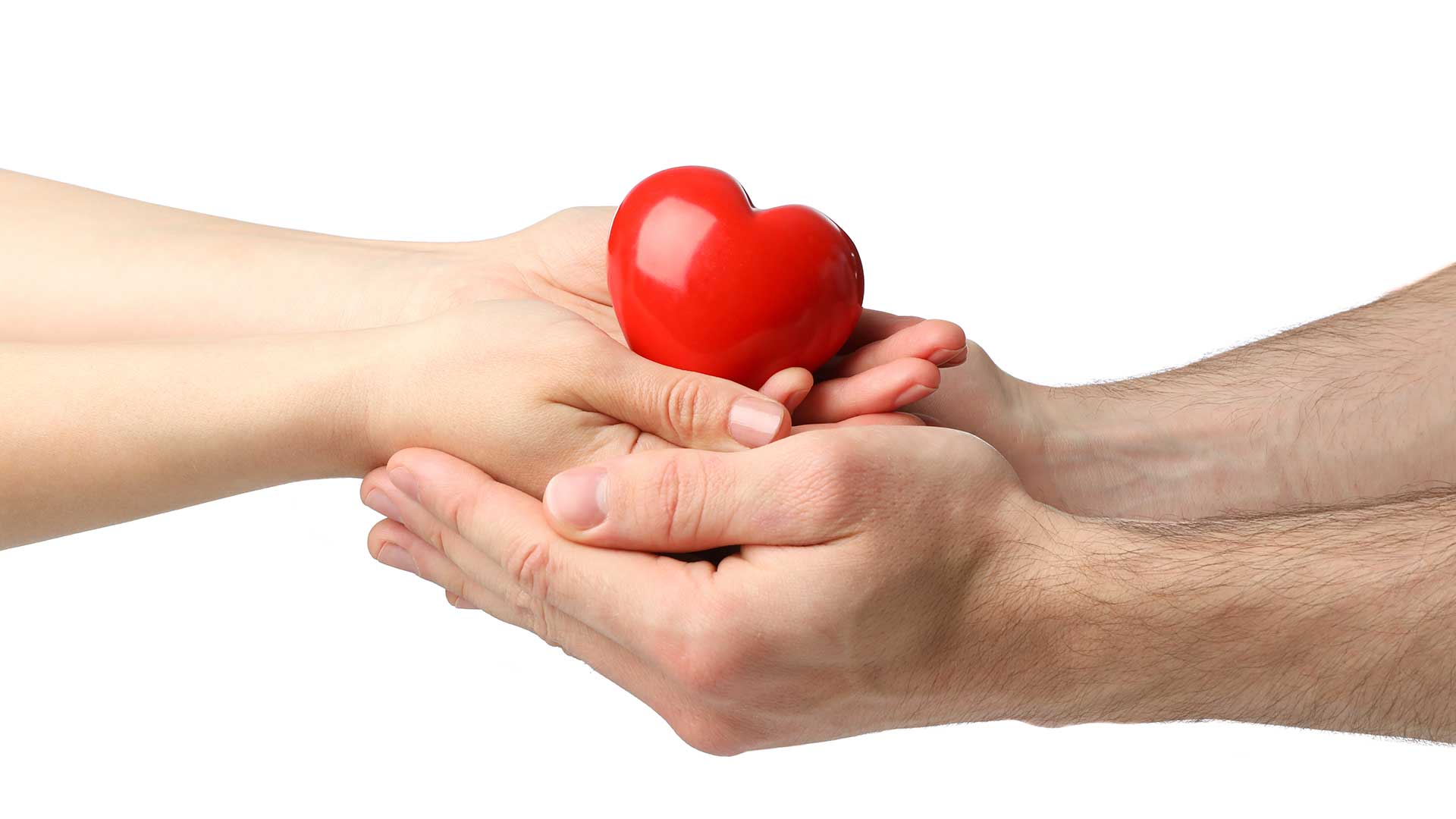 Doação de Órgãos